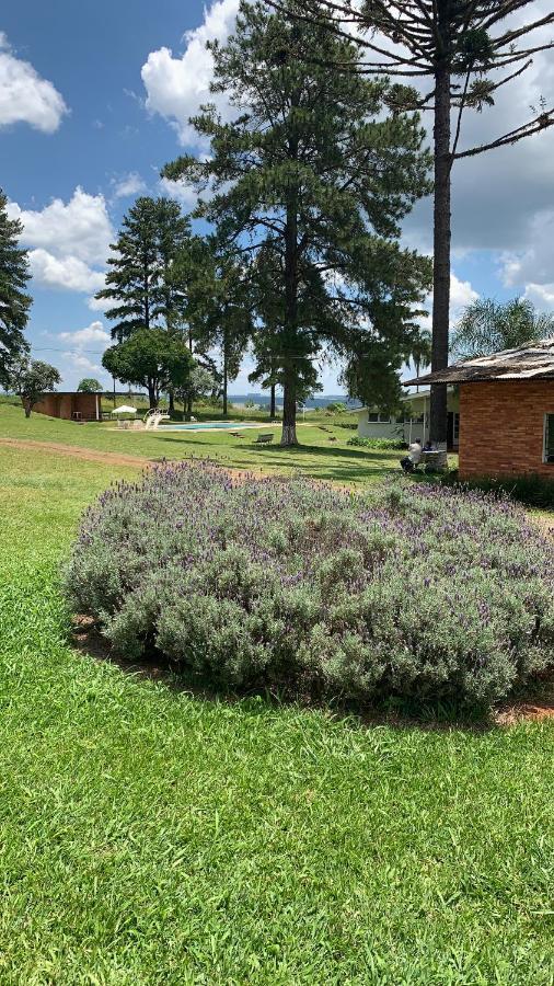 Hotel Pousada La Vierro Ponta Grossa  Dış mekan fotoğraf